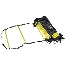 Power Systems Agility Ladder, 15 Feet x 20 Inches, Black/Yellow (30692)
