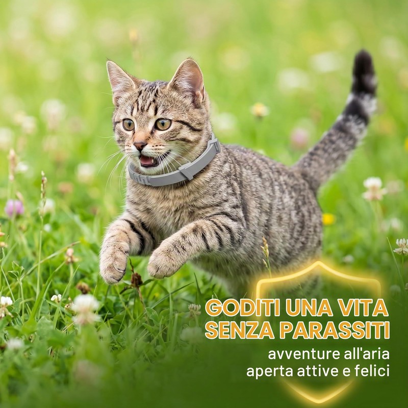 2 Collare Antipulci per Gatti, Collare Antiparassitario Sicuro ed Efficace,