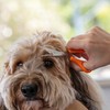 Wahl Styling Scissors for Dogs, Orange/Silver
