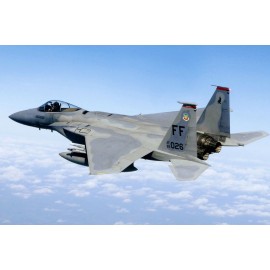 F-15 Eagle PHOTO Fighter Jet, Air Patrol Mission United States Air Force USAF