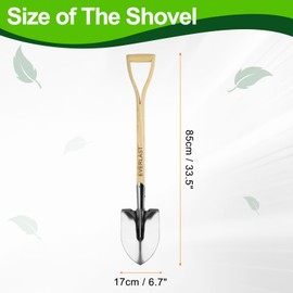 HARFINGTON Digging Shovel 33.5 x 6.7 Stainless Steel Round Spade Shovel with Wooden Handle for Camping Gardening Beach