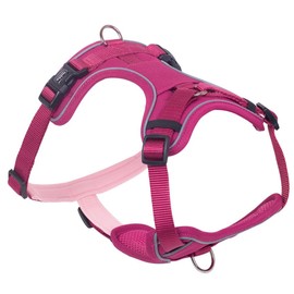 Nobby Comfort Harness Mailo Raspberry, S: Chest: 23-35 cm, Belly: 40-55 cm, W: 15 mm, Pack of 1