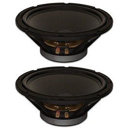 Goldwood Sound, Inc. Stage Subwoofer, Heavy Duty 4ohm 12" Woofers 450 Watts each Replacement 2 Speaker Set (GW-12PC-4-2)