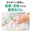 Saraya 23259 Soap for Hand Wash, Chaboneteu M P-5, 8.5