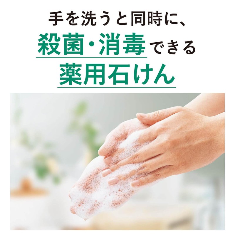 Saraya 23259 Soap for Hand Wash, Chaboneteu M P-5, 8.5