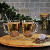 Yeenano Tea Strainer,2 PCS Stainless Steel Tea Infuser with Handle