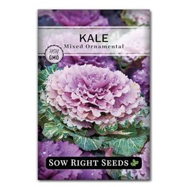 Sow Right Seeds - Mixed Ornamental Kale Seeds for Planting - Non-GMO Heirloom Packet with Instructions to Plant & Grow in Your Front Yard and Flower beds - Colorful Kale Heads Accent Flower Beds (1)