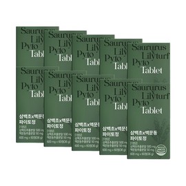 [Fit] Sambeakcho Maekmundong Phyto Tablets 60 Tablets x 10 Boxes / 핏] 삼백초 맥문동 파이토정 60정 X 10박스