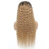 Lakaisa Honey Blonde Wig Human Hair Glueless Wig Wear and
