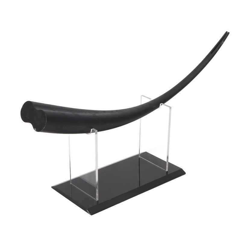 Large Eyelash Teaching Diaplay Model Thicken Flat Buttom Double Tip