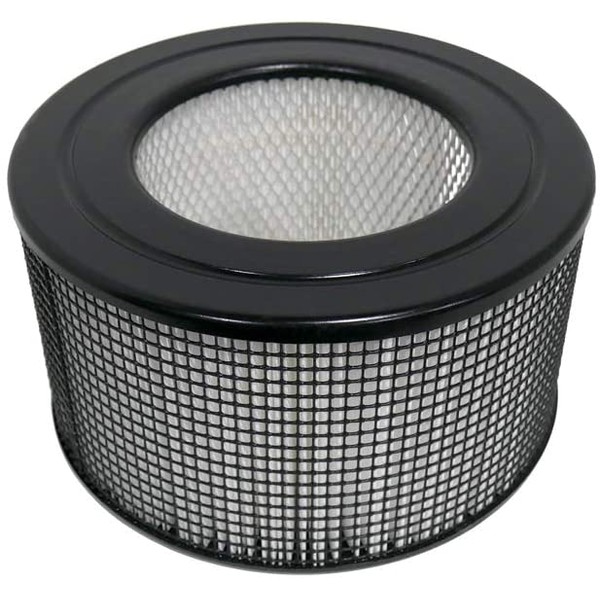 BlueBird Filters Replacement HEPA Filter & Carbon Pre Filter Kit