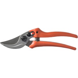 Original Löwe Shears