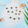 Hobbspring 12Pcs Abalone Shell Charms 8mm Paua Shell Pendant Sea