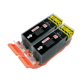 PerfectPrint Compatible Ink Cartridge Replacement for Canon PIXMA iP-4800 4850 4900 4950 MG-5150 5250 5350 6100 6150 6220 6250 8150 PGI525 (Black, 2-pack)