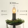 Holiday Joy C26 Christmas Crystal Clear Torpedo Tip Candelabra Replacement