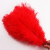 10Pcs Bulk Natural Red Ostrich Feathers,10-12 inch (25-30cm) Beautiful Long