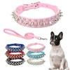 Spike Dog Collar and Leash Set, Studded Mushrooms Faux Pu