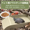 PAVIKE Reptile Water Dish for Reptile Feeding Dish Amphibian Drinking
