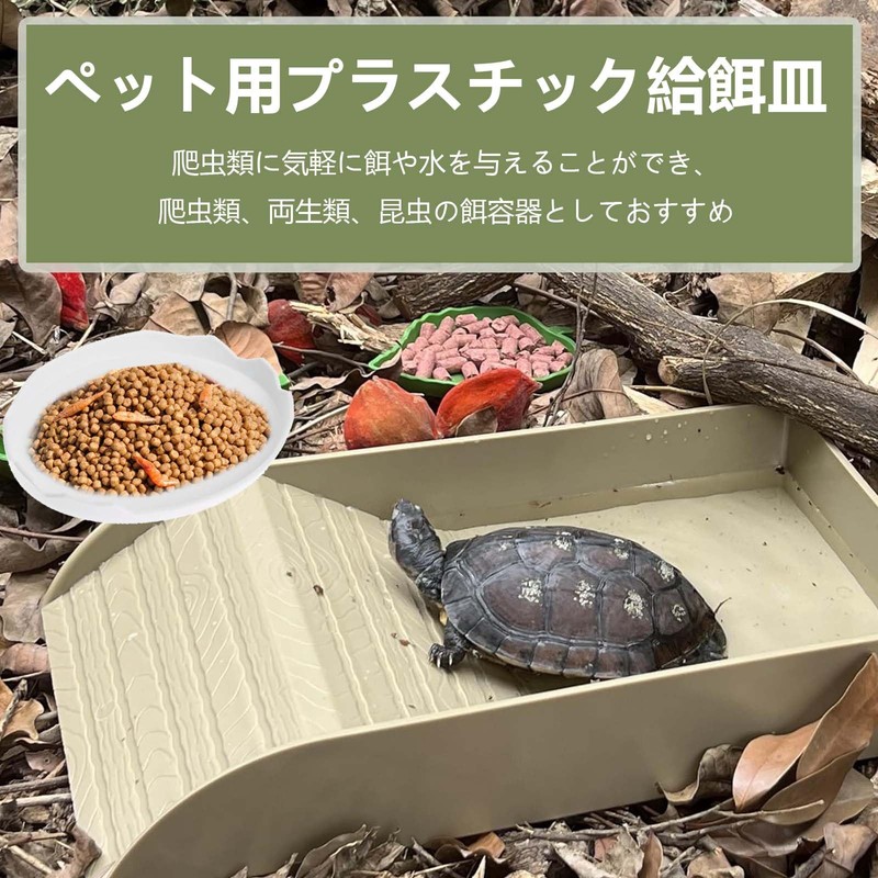 PAVIKE Reptile Water Dish for Reptile Feeding Dish Amphibian Drinking