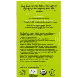 Pukka Organic Triple Ginger, 20 Teabags