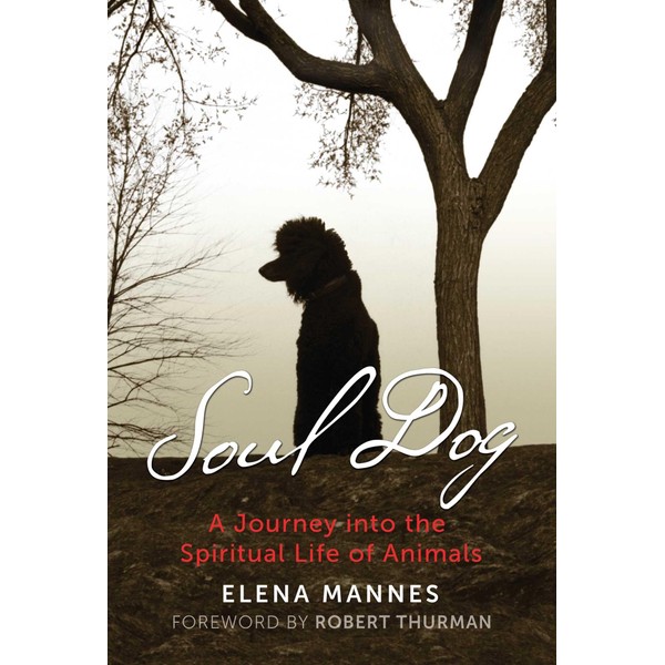 Soul Dog: A Journey into the Spiritual Life of Animals