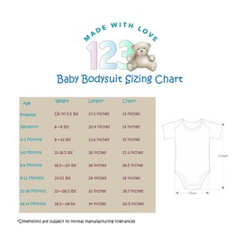 123 Bear 100 % Algodón Body, Paquete de 4 gris limón, 0-3 meses