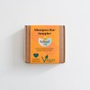 Citrus Shampoo Sampler - 4 x 15g Travel Size Shampoo