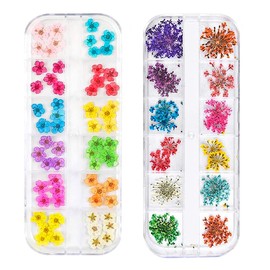Juego de pegatinas 3D de flores secas de uñas con pinzas, Changgar flores secas reales para arte de uñas y manualidades de resina, bricolaje de cinco pétalos de hojas de flores Gypsophila Seco flores Kit de decoración de uñas (2 cajas)