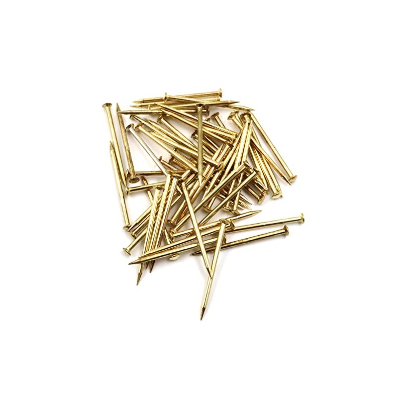 Design61 100x Steel Pins Steel Nails Skirting Board Pins Nail