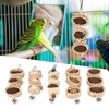 5PCS Parrot Cuttlebone Chew Toy Bite Resistant Corn Leaf Nuts