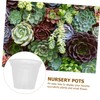 TEHAUX 10Pcs Plastic Basin Pot Green Succulent Plants with Vanilla