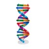 Toyvian DNA Models Double Helix Model Science Educational Teaching Instrument