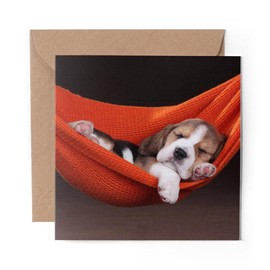 1 x Greeting Card Cute Sleeping Beagle Puppy Dogs Pets - Blank Birthday Celebration Anniversary #8432