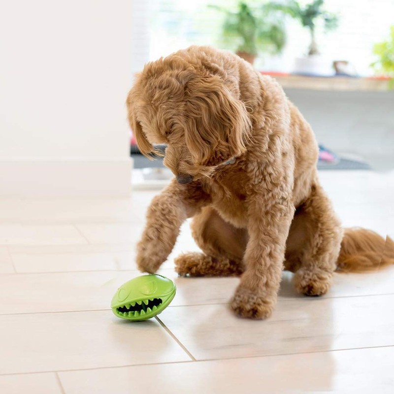 Jolly Pets Monster Mouth Oval Dog Toy/Treat Holder