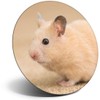 Destination Vinyl ltd Magnet for Refrigerator, Fridge - Cute Rodent