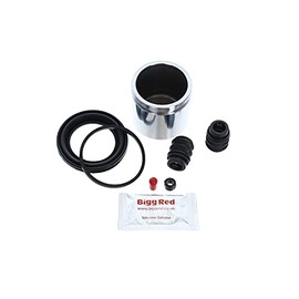 Bigg Red - Front Left or Right Brake Caliper Repair Seal Kit & Piston - Compatible with Prelude, Accord 1992-2000
