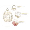 Outanaya Bird Feeder for Wild Birds Hanging Suet Holder Outdoor