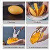 Fruit Slicer Cutter, Mango Splitter with Stainless Steel Blade, Fruit