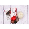 The Crafty Kit Company British Birds Robin Needle Felting Kit