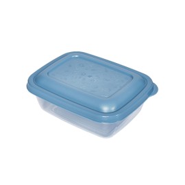 Kigima Mini-Tiefkühldose Frischhaltedose 310ml rechteckig 12er Set bunt