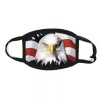 American Bald Eagle FACE MASK Reusable Washable Unisex Face Cover