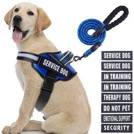 Animire Arnés Y Correa Para Perros De Servicio, Con 8 Parches Reflectantes Inclusos, Tallas XS-XL, Colores Azul Y Negro