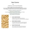 Mixsoon Kit Completo Bean Oil Essence Cream Sun Serum 4