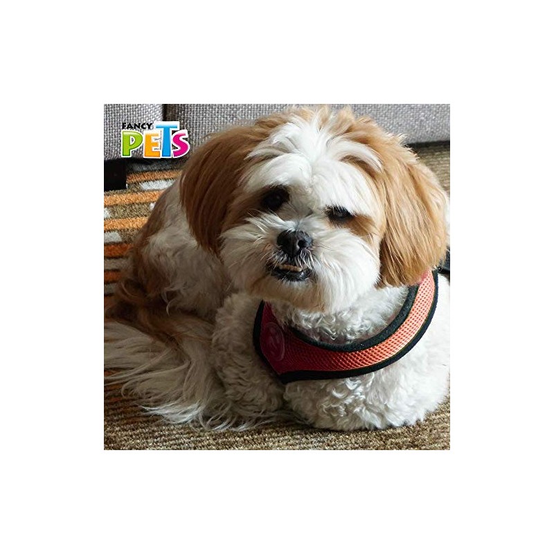 Fancy Pets TX40713 Arnes de Malla, tamaño Med