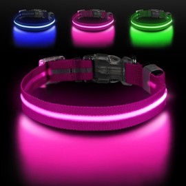 LUMIPAW Cherry Red Medium LED Dog Collar | Night Walks just got Safer | Ultra-Bright LED Collar | USB Rechargeable | Waterproof | Adjustable & Durable | 4 Light Modes | Keep Your Pup & Yourself Safe!