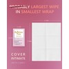RainbowPana Feminine Wipes, 120 Count ON-THE-GO Individually Wrapped | Flushable