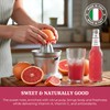 Galvanina Red Grapefruit with Pulp – Premium Organic Italian Sparkling