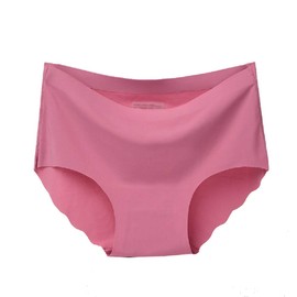 Nightaste Women's Seamless Briefs Pack of 5 Ice Silk Panties Mid-Rise No Show Underwear (Large, Multi1)