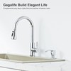 GAGALIFE Kitchen Sink Soap Dispenser Chrome, Built in Soap Dispenser