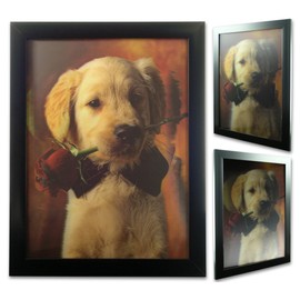 3D Puppy Picture - Golden Retriever Puppy with Rose - Black Framed Picture Animal Artwork - 3D Visual Effect Wall Art